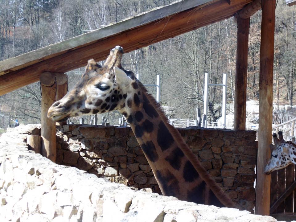 zoo Jihlava březen 2018