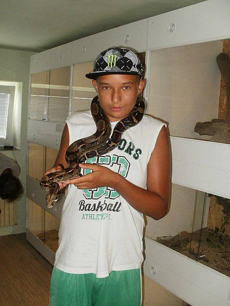 Profilová fotografie uživatele lamborgini