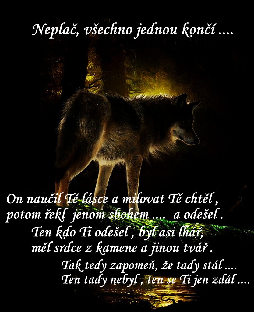 ŽIVOT VÁŽNĚ I NEVÁŽNĚ ...