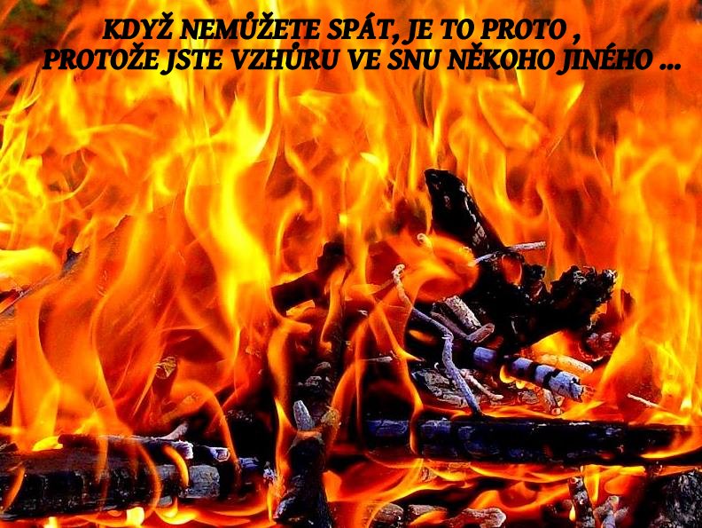 ŽIVOT VÁŽNĚ I NEVÁŽNĚ ...