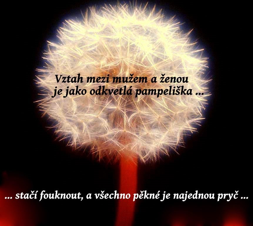 ŽIVOT VÁŽNĚ I NEVÁŽNĚ ...