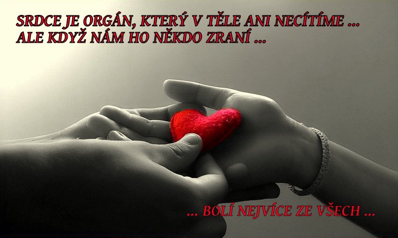 ŽIVOT VÁŽNĚ I NEVÁŽNĚ ...