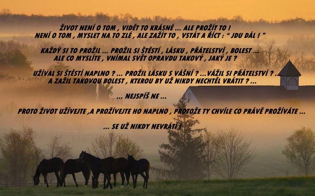 ŽIVOT VÁŽNĚ I NEVÁŽNĚ ...