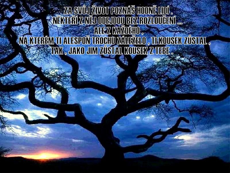 ŽIVOT VÁŽNĚ I NEVÁŽNĚ ...