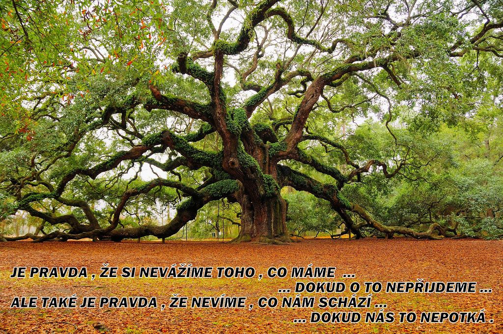 ŽIVOT VÁŽNĚ I NEVÁŽNĚ ...