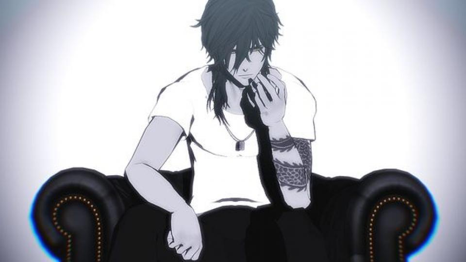 Nikko- společník č.1