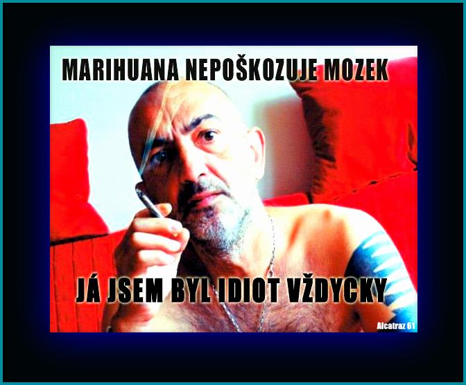 Zaslané fotky