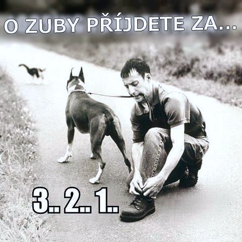 Zaslané fotky