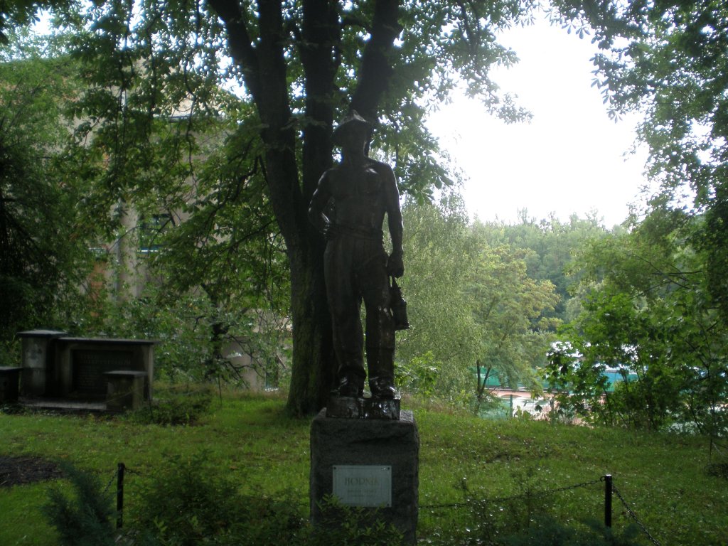 Petřkovice