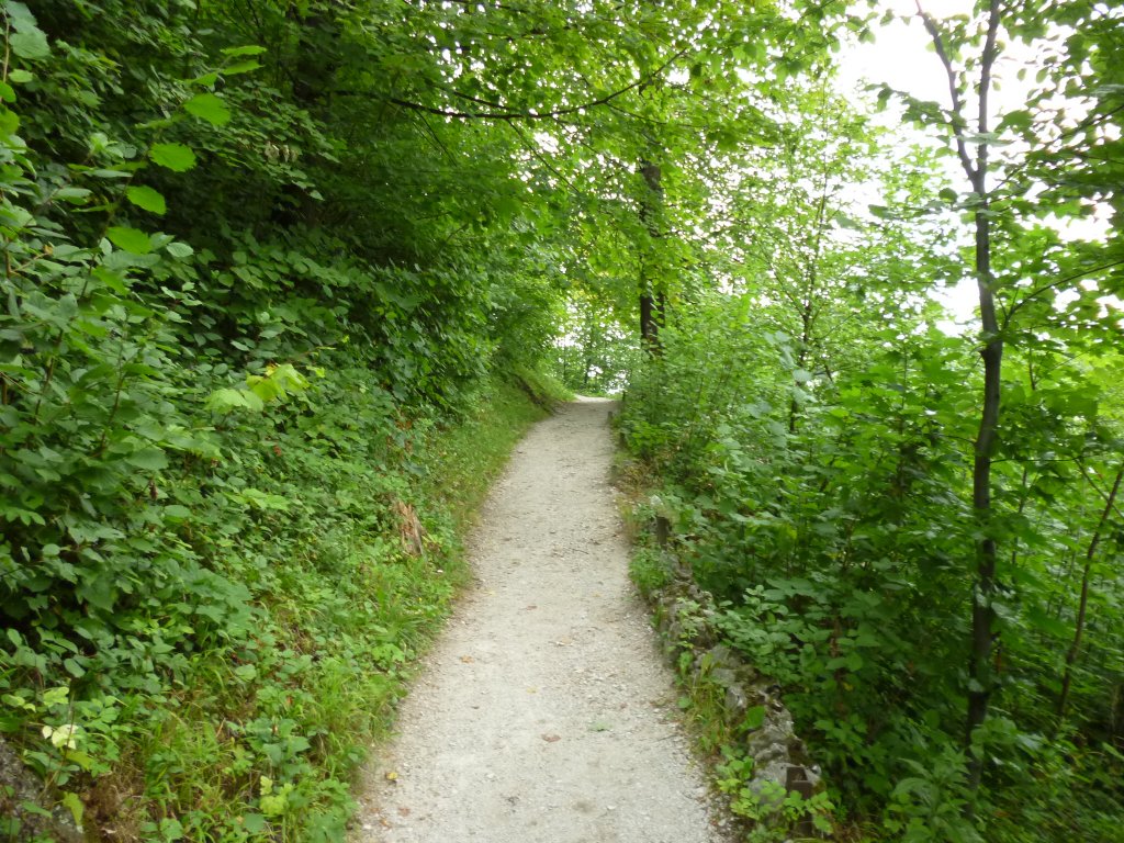 Šipka aneb cesta do pravěk