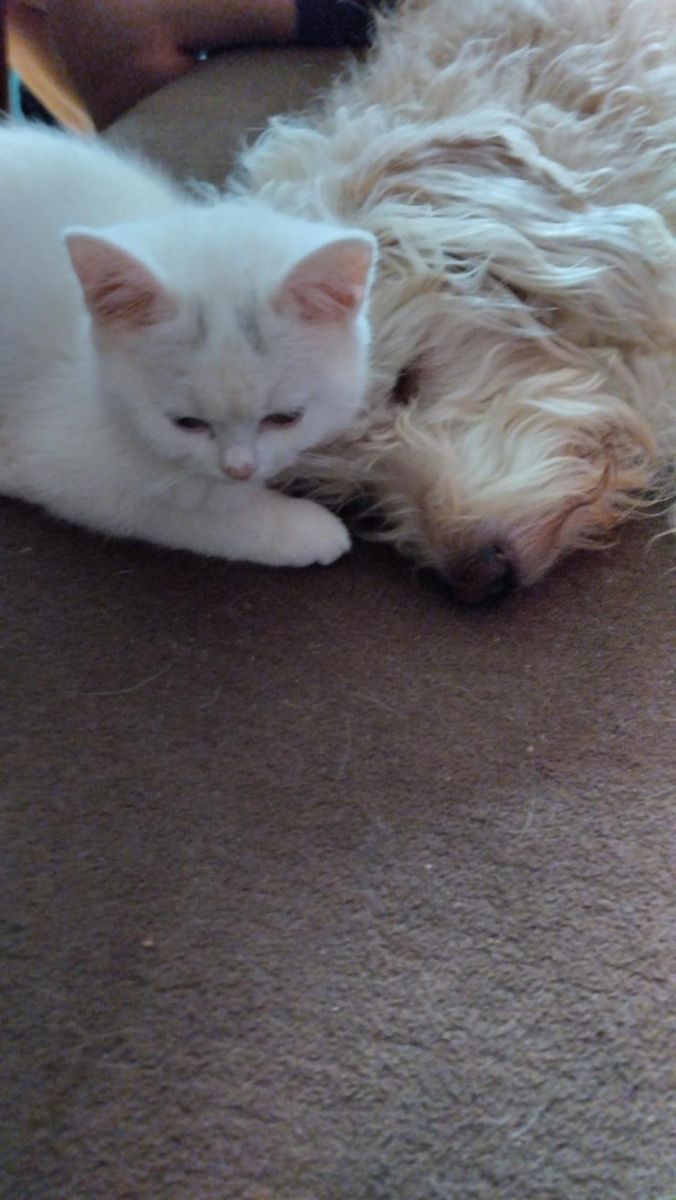 Já a vše co miluju🥰