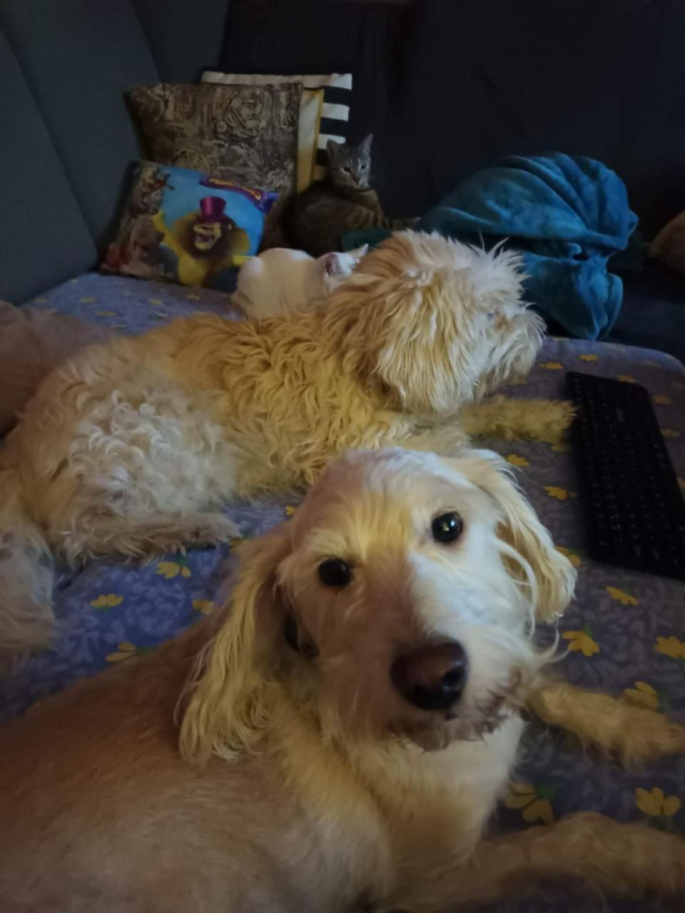 Já a vše co miluju🥰