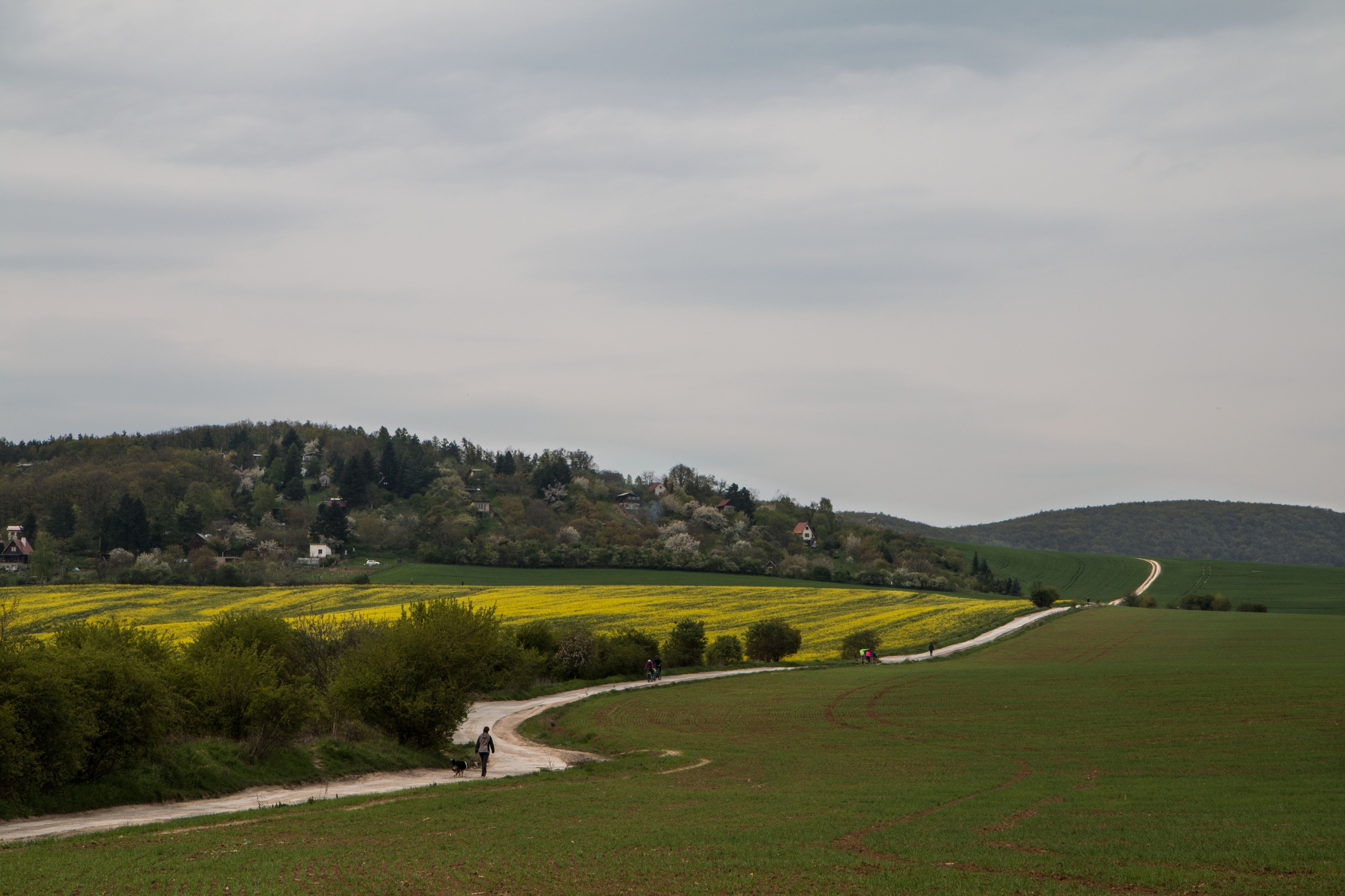 Krajina