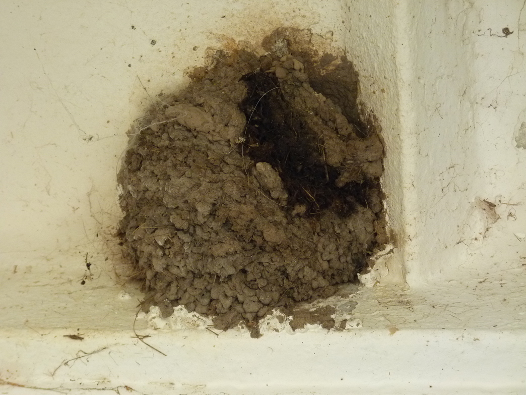 JAK VIDÍM SVĚT KOLEM SEBE