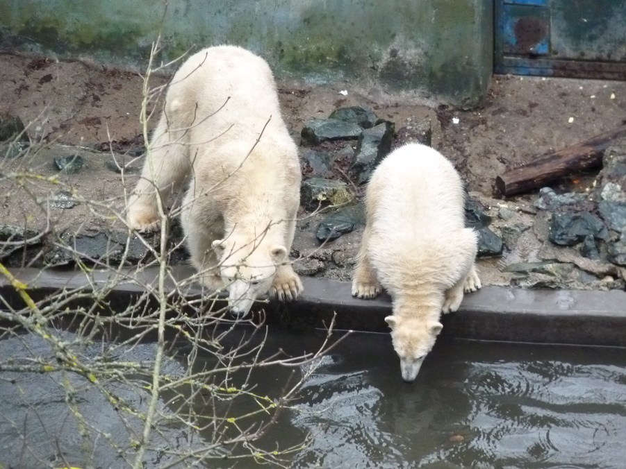 JAK VIDÍM SVĚT KOLEM SEBE