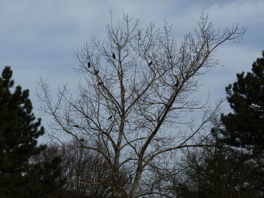 JAK VIDÍM SVĚT KOLEM SEBE