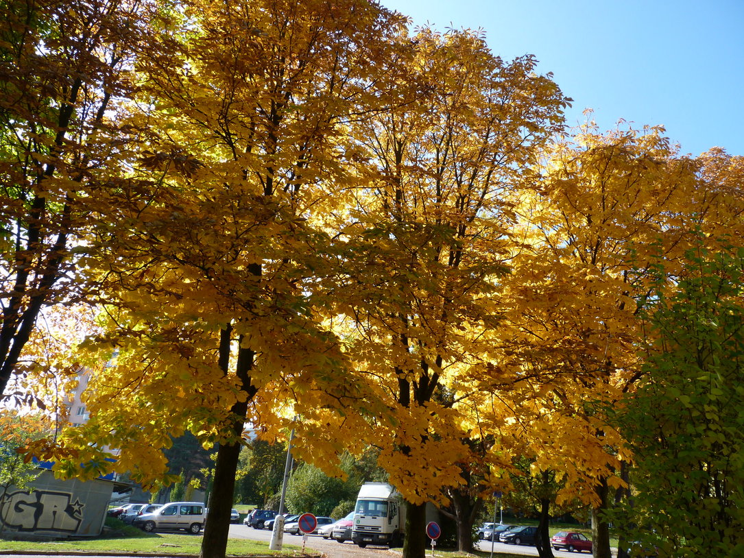 JAK VIDÍM SVĚT KOLEM SEBE