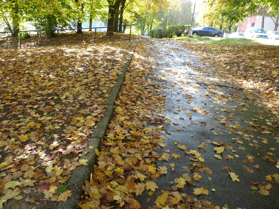 JAK VIDÍM SVĚT KOLEM SEBE