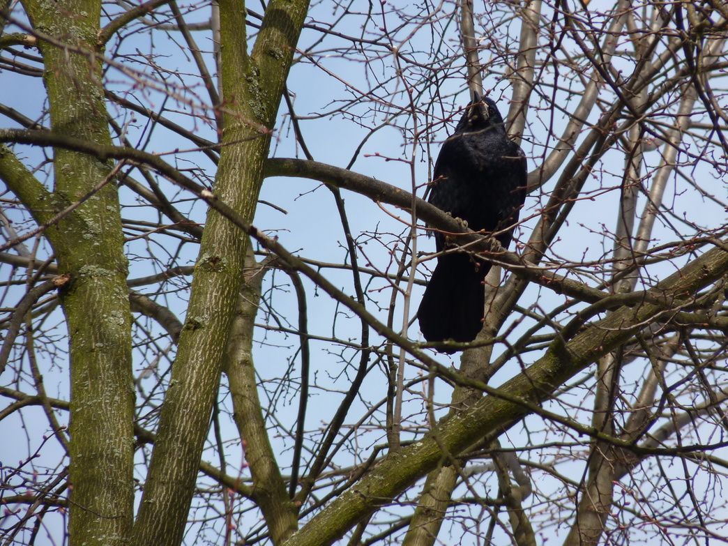 JAK VIDÍM SVĚT KOLEM SEBE