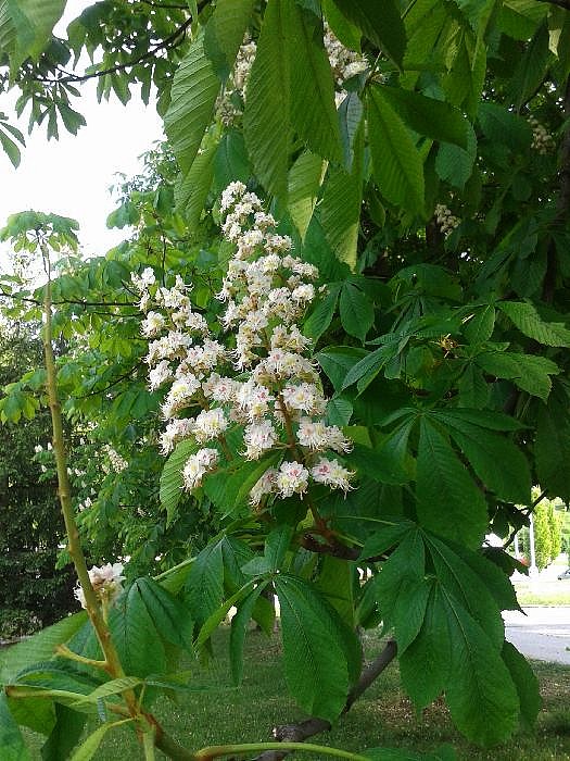 JAK VIDÍM SVĚT KOLEM SEBE