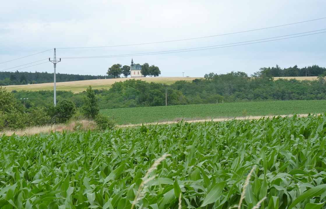 JAK VIDÍM SVĚT KOLEM SEBE