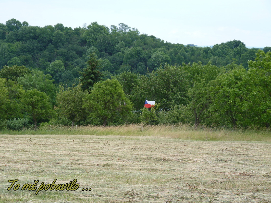 JAK VIDÍM SVĚT KOLEM SEBE