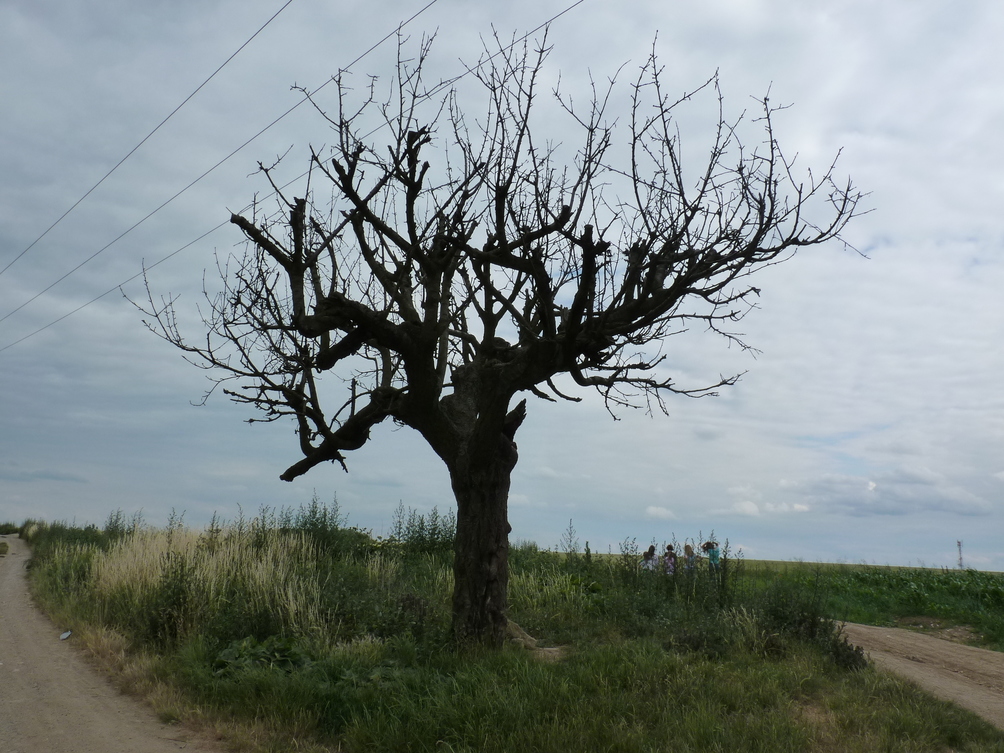 JAK VIDÍM SVĚT KOLEM SEBE