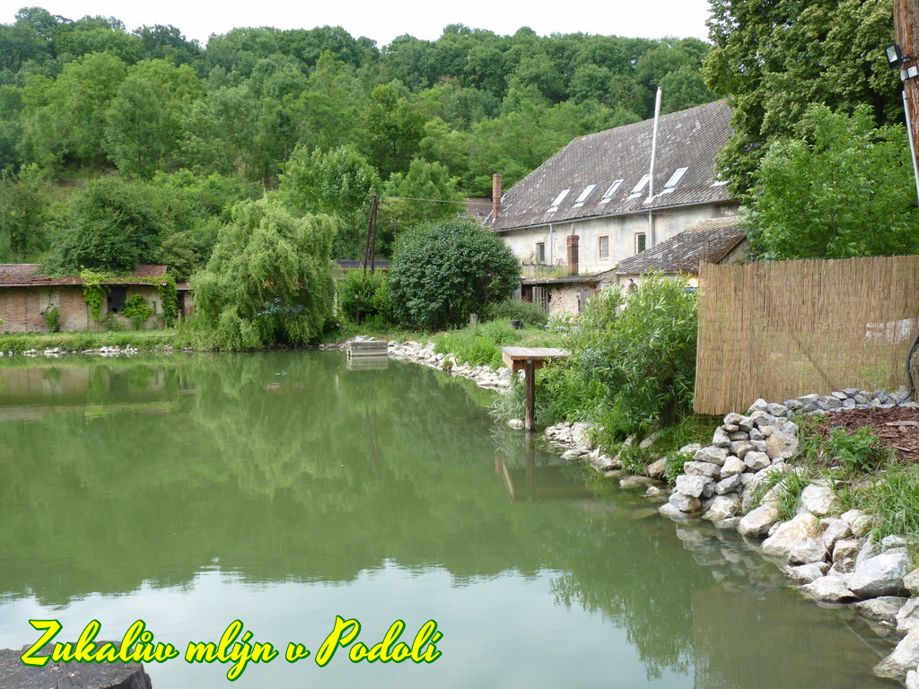 JAK VIDÍM SVĚT KOLEM SEBE