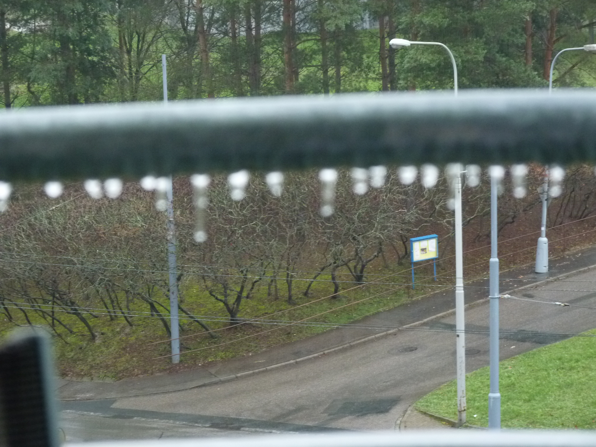 JAK VIDÍM SVĚT KOLEM SEBE