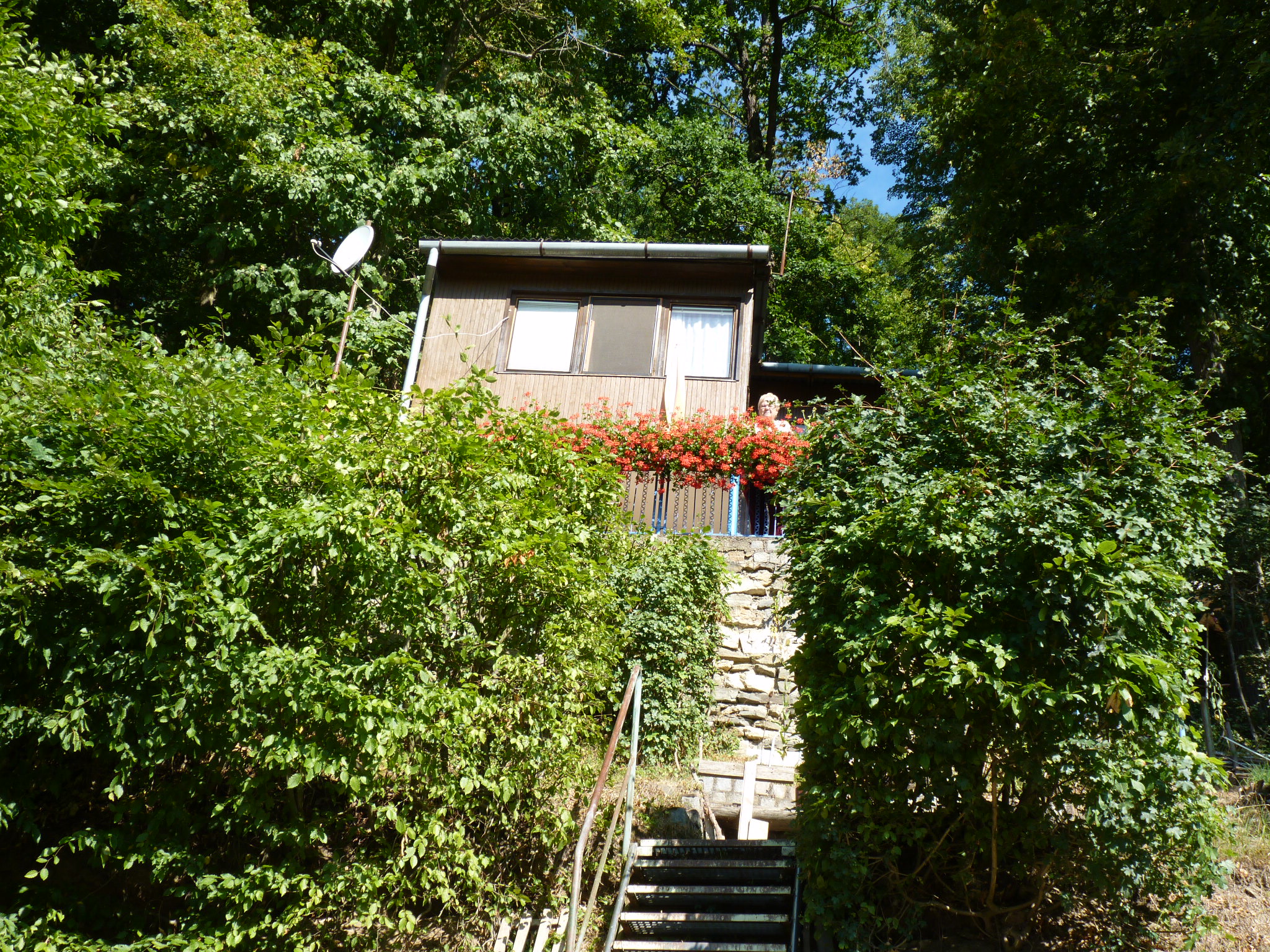 JAK VIDÍM SVĚT KOLEM SEBE