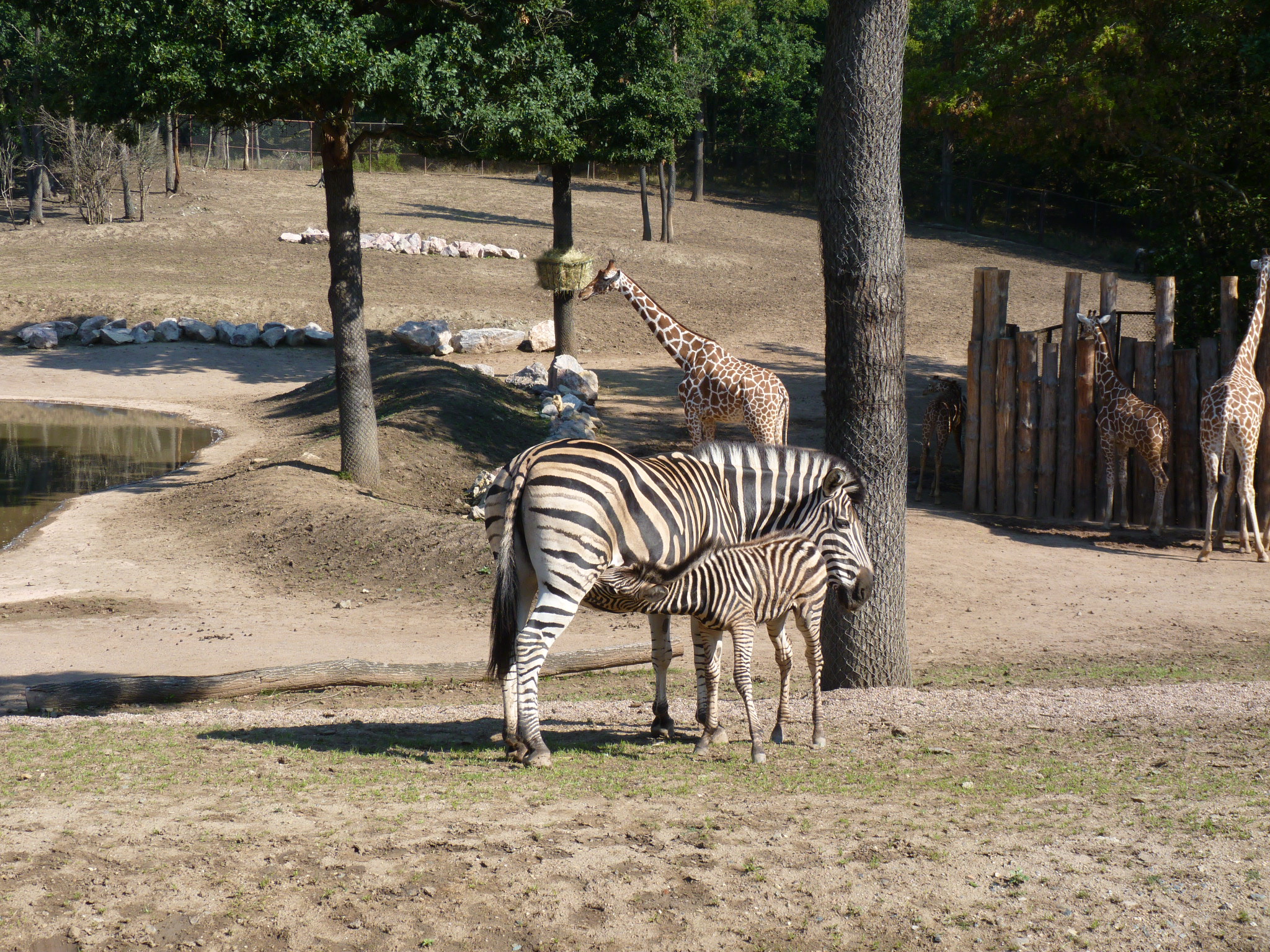 JAK VIDÍM SVĚT KOLEM SEBE