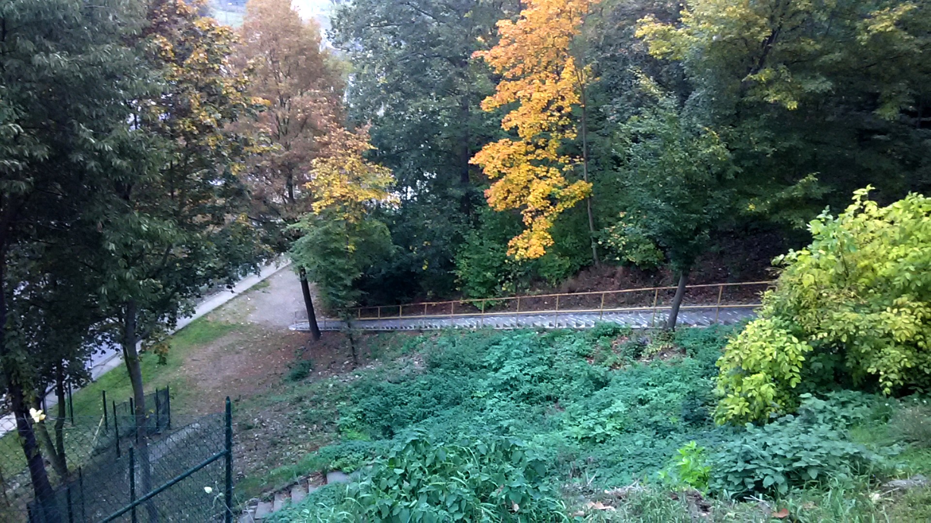 JAK VIDÍM SVĚT KOLEM SEBE