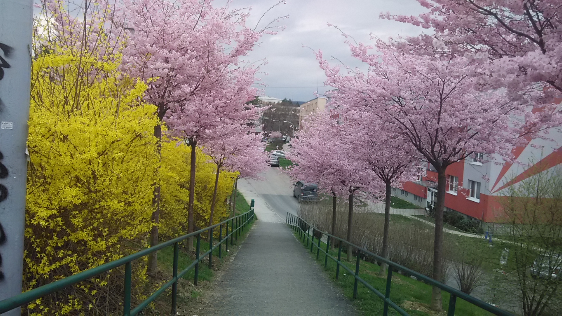 JAK VIDÍM SVĚT KOLEM SEBE