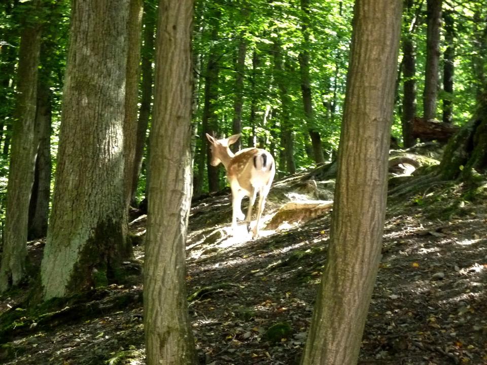 JAK VIDÍM SVĚT KOLEM SEBE