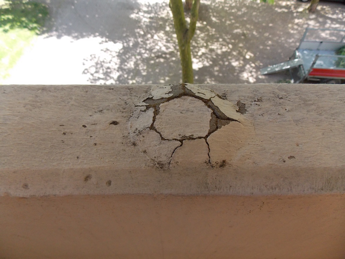 016 - 2015 - renovace balkonu a letošní bylinky