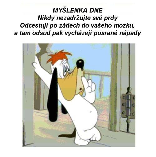 OPICE:-) A DALŠÍ OPIČÁRNY....