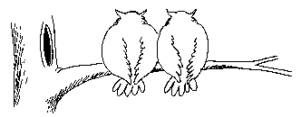 OPICE:-) A DALŠÍ OPIČÁRNY....