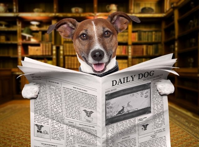 OPICE:-) A DALŠÍ OPIČÁRNY....