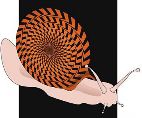 Náladové momenty:-)