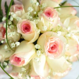 Krása přírody.(květiny)