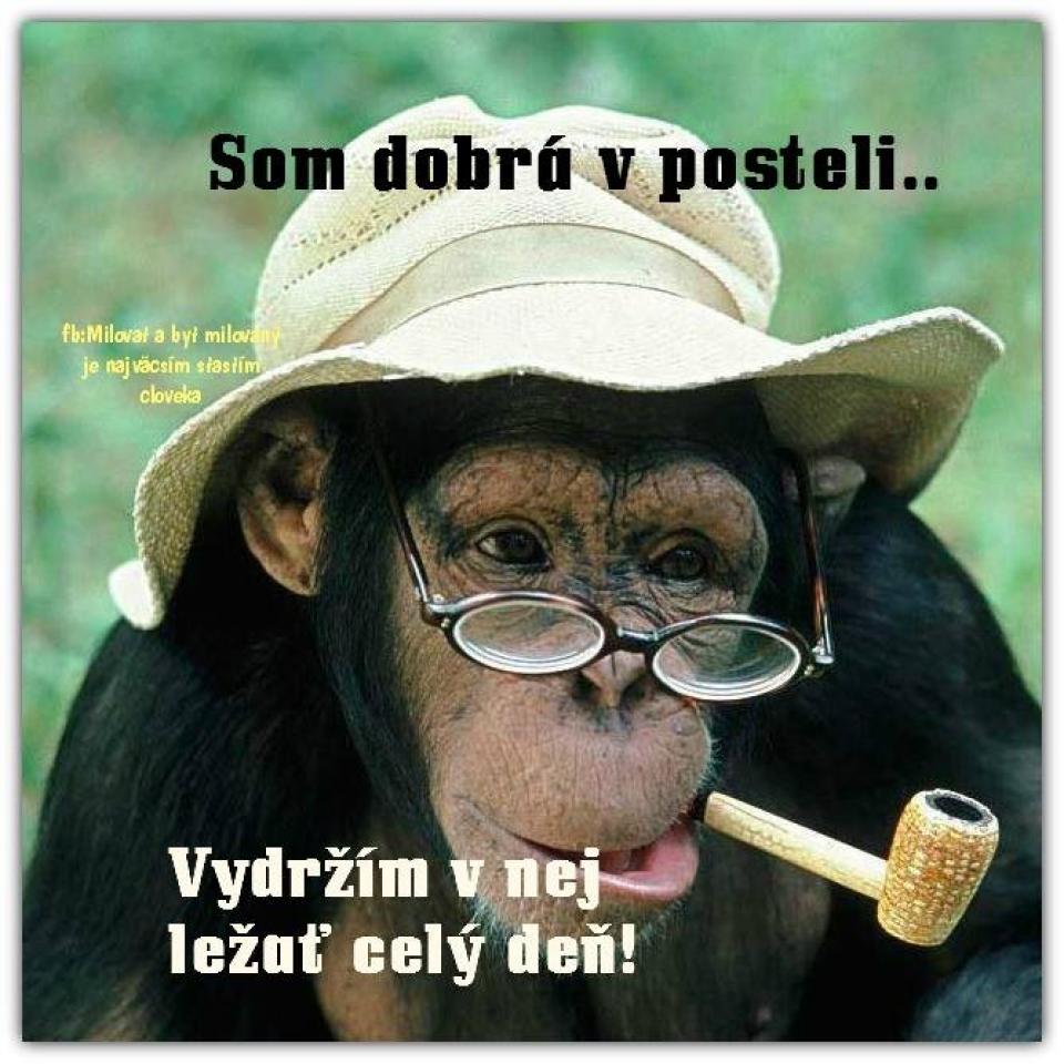 Vesele jen vesele ...