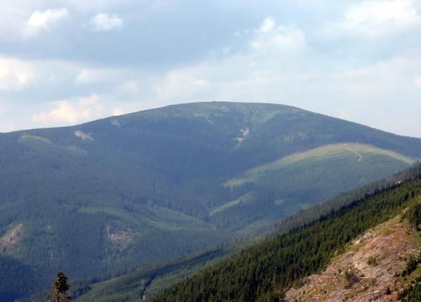 Veřejné