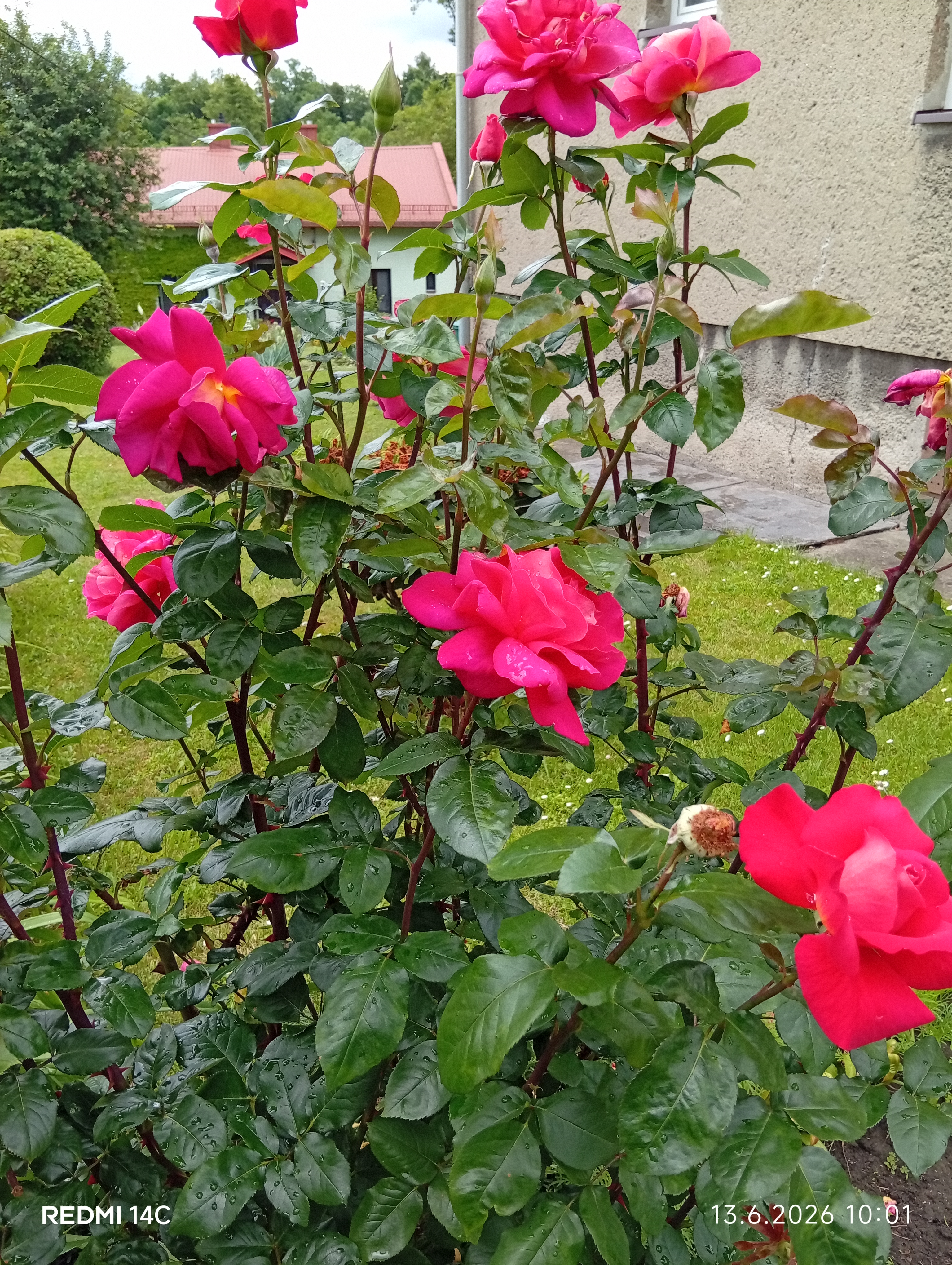 Moje fota
