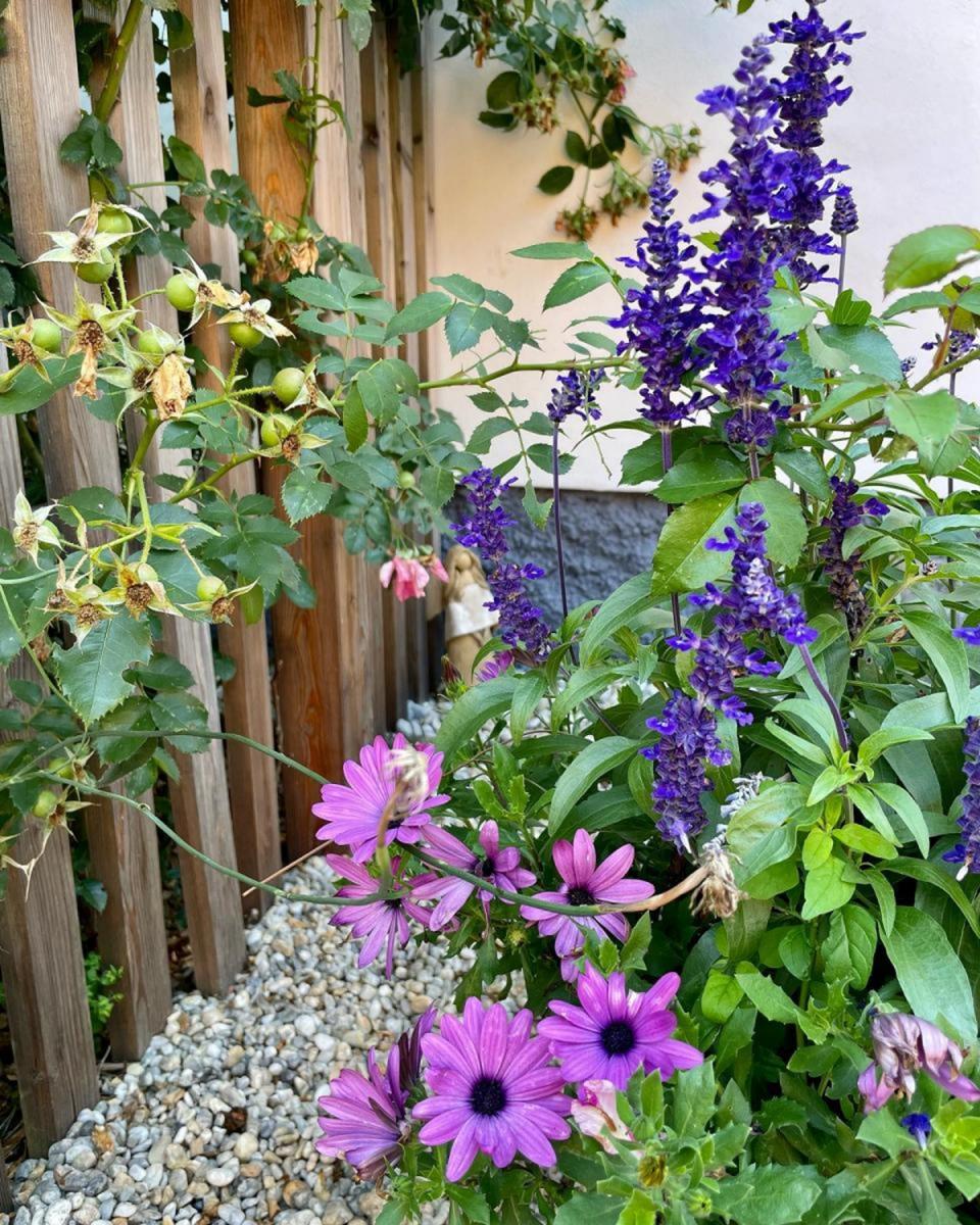 - střípky ze zahrádky, LÁSKA ke keramice a k pečení perníků.