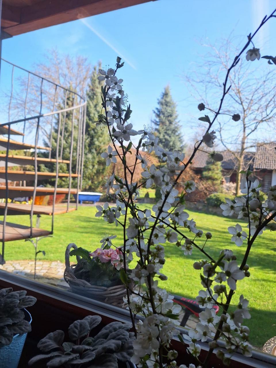 - střípky ze zahrádky, LÁSKA ke keramice a k pečení perníků.