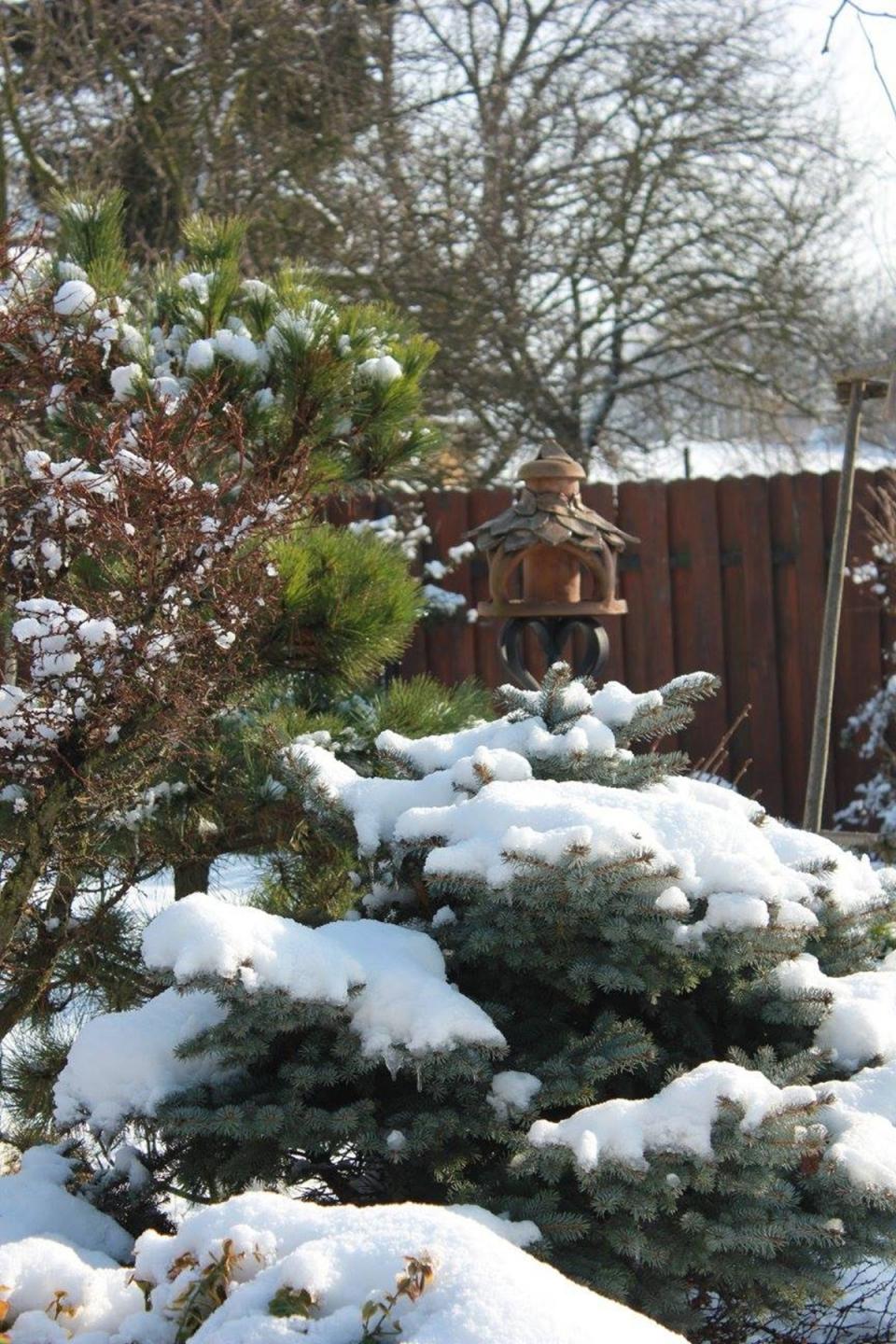 - střípky ze zahrádky, LÁSKA ke keramice a k pečení perníků.