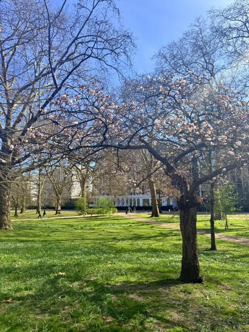 Dcera, žijící v Londýně.