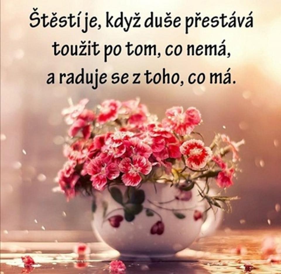 Oblíbené citáty a nejkrásnější filmové hlášky.