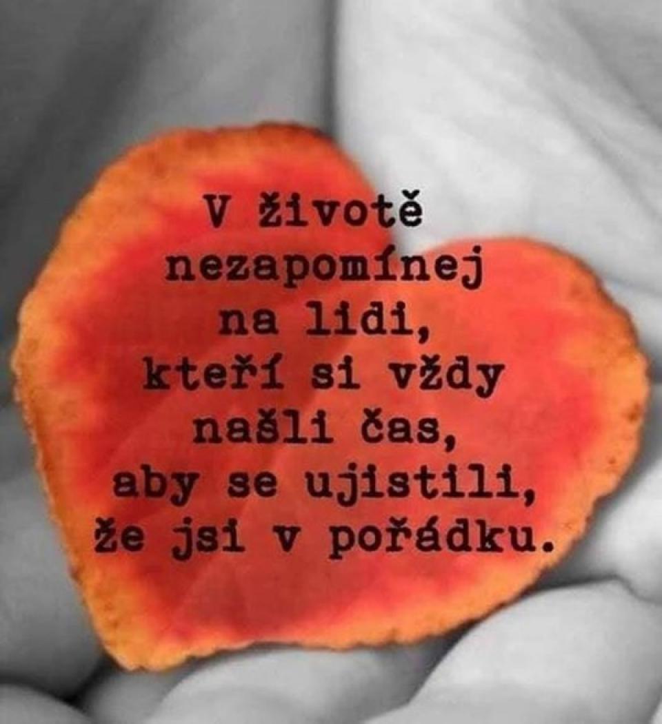 Oblíbené citáty a nejkrásnější filmové hlášky.