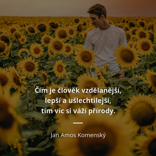 Oblíbené citáty a nejkrásnější filmové hlášky.